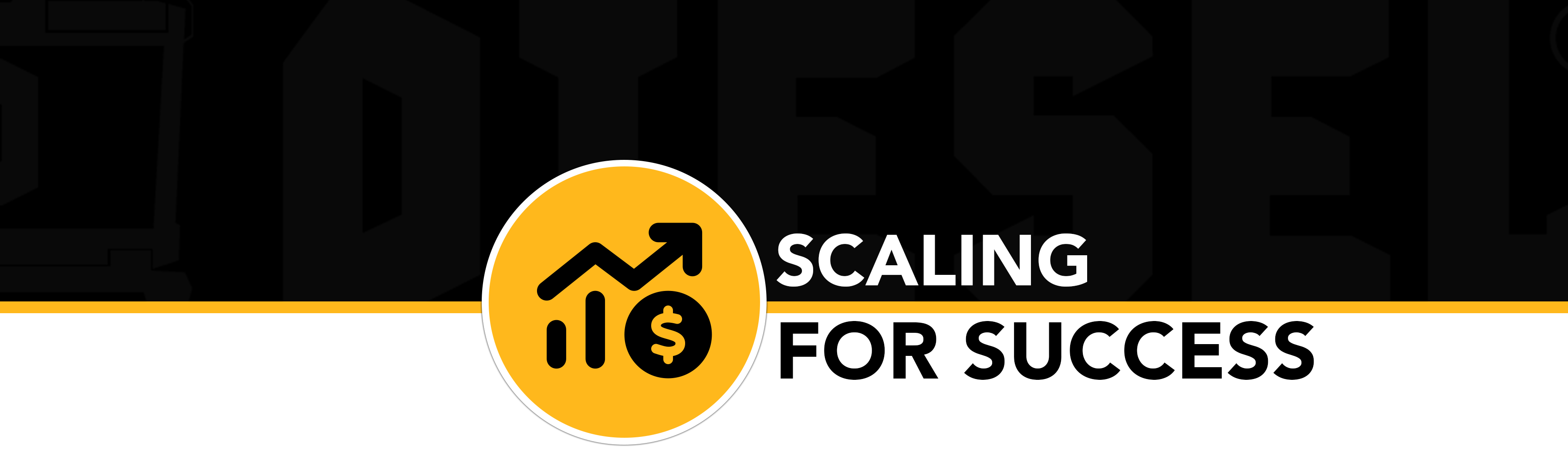 Scaling for Success: a Blueprint for Transformational Growth